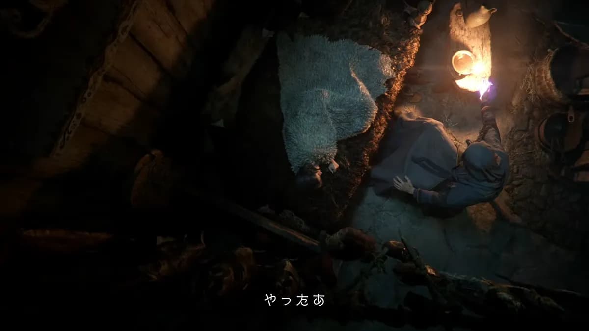 やったあ