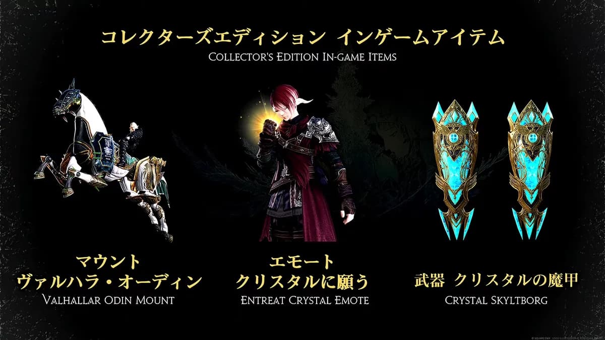 コレクターズエディション インゲームアイテム